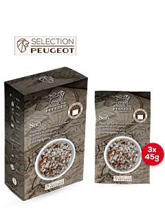 Sun - Peugeot Saveurs