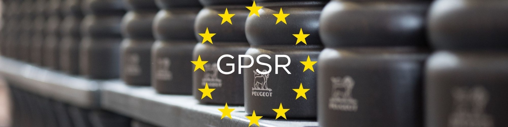 GPSR_Neu