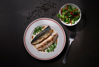 Makrelenfilets, einseitig gebraten