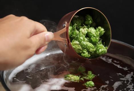 Bierherstellung: Zutaten und wichtige Schritte - Peugeot Saveurs
