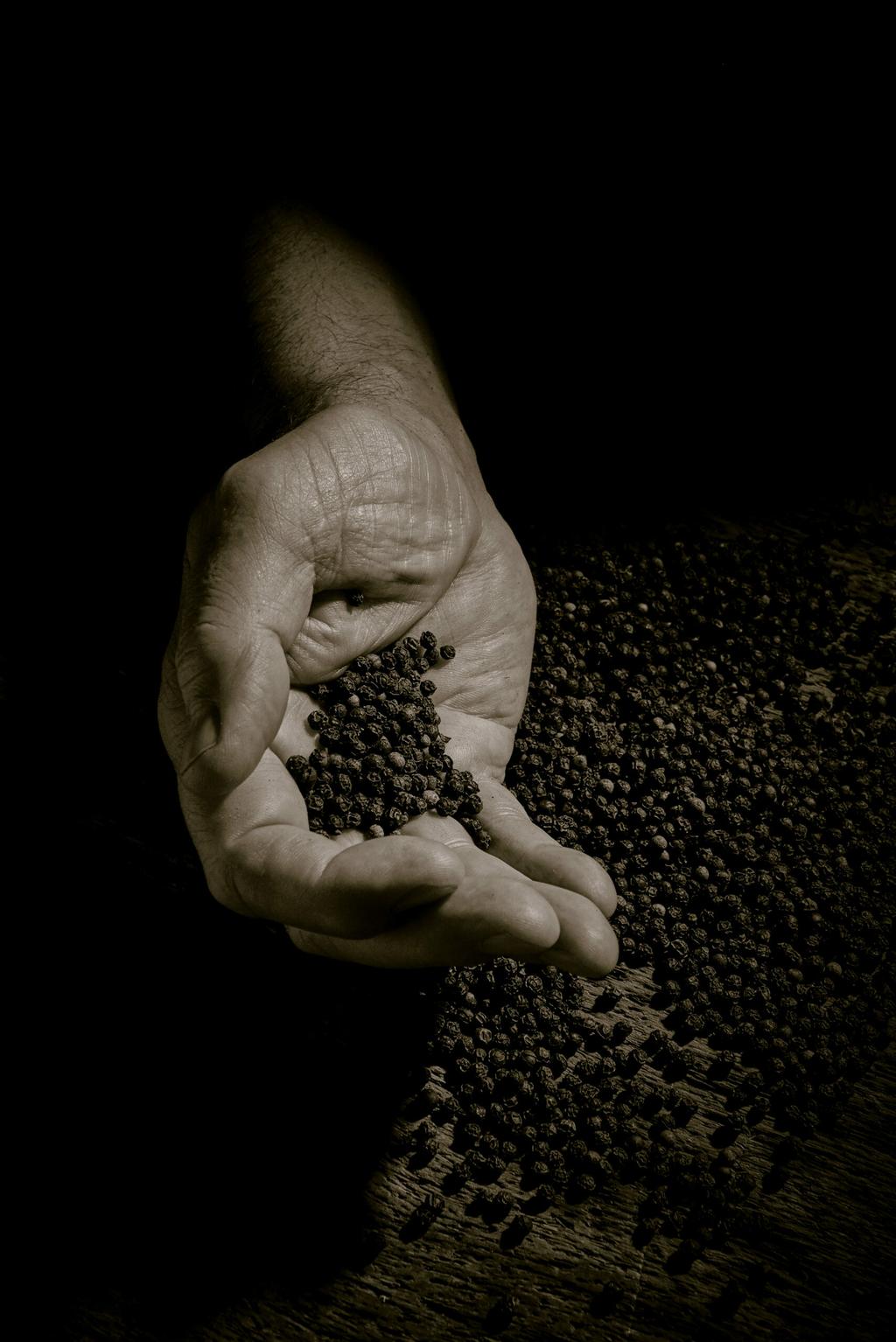 POIVRE PEPPER - © d'un monde à l'autre - Peugeot Saveurs