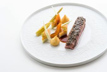 Entenbrust mit Fenchel und Aprikose, süßsaure Sauce mit Oabaki und Mango